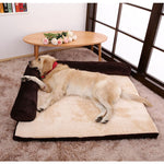 Dog lying on a large pet bed in a room with a table and flowers.