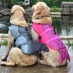 Two dogs wearing life jackets by a body of water.