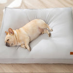 Dog lying on a large gray pillow with text about its features.